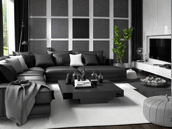 Black white living room decor