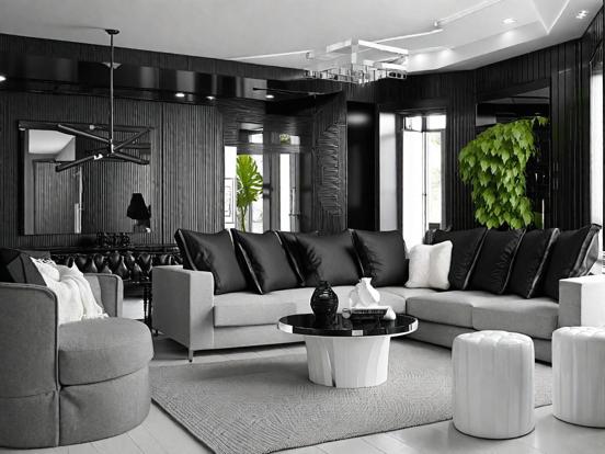 Chic B&W living room decor