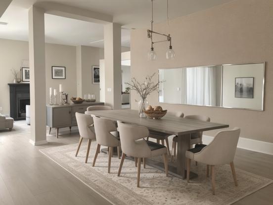 Modern minimalist dining room