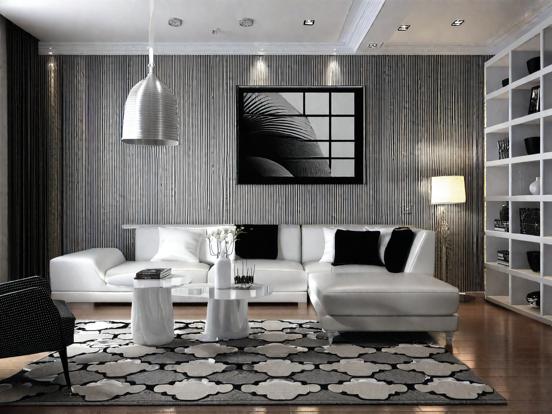 Modern B&W living room design