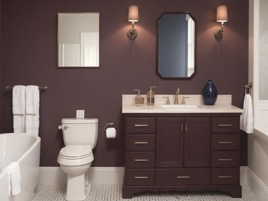 Rocket Pop Bathroom Ideas