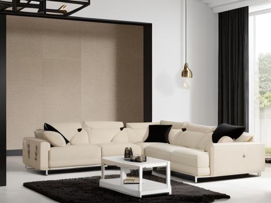 Black white luxury leather sofa