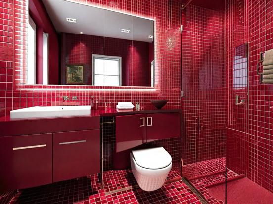 Modern red trim bathroom closeup