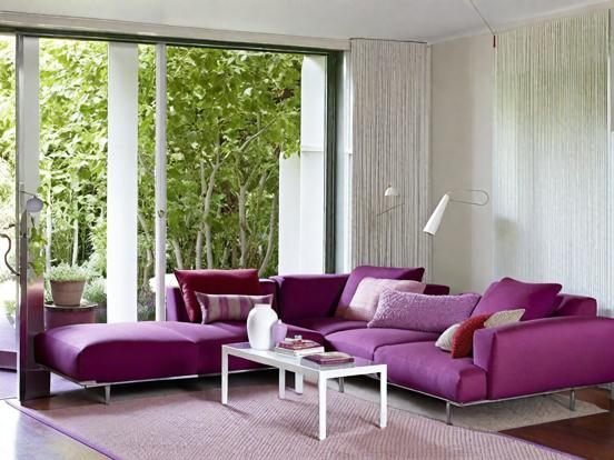 Purple couch bright living room