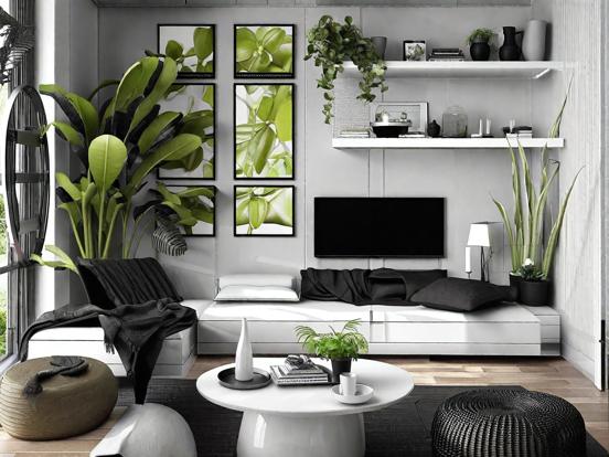 cozy black and white living room