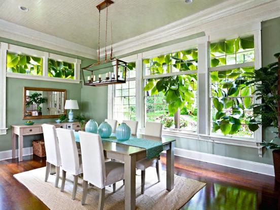 Green dining room table plant