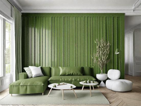 Green Living Room Ideas