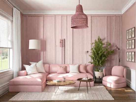 Pink Living Room Ideas