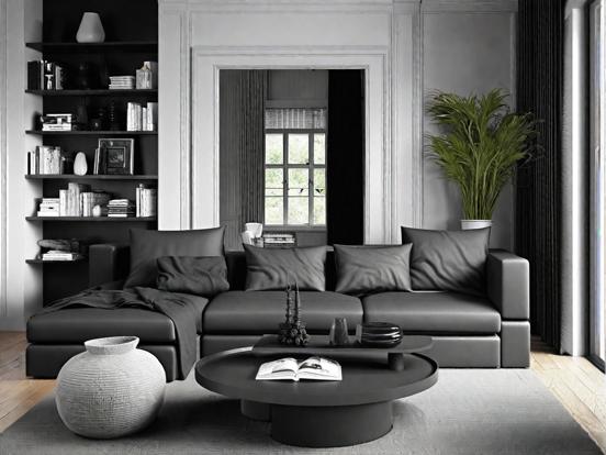 Dark monochrome living room