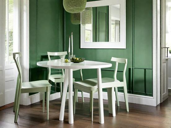 Green table chairs mirror setup