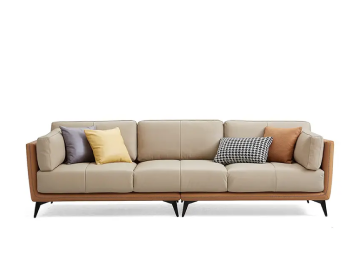 Modern Organic Living Room sofa