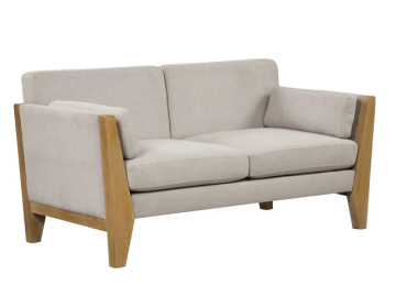 Modern Organic sofa